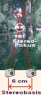 Info