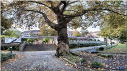 Berlin Krnerpark (4)