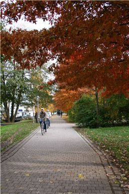 Download ==> Berliner_Herbst_2010_019.zip