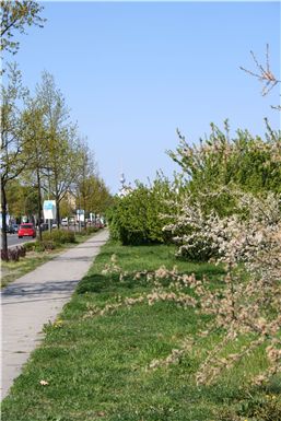 Download ==> Kiefholzstrasse_08.zip